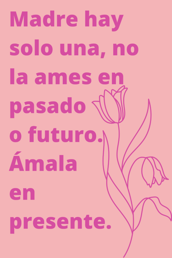 55 Happy Mothers Day Quotes in Spanish with Images - Darling Quote