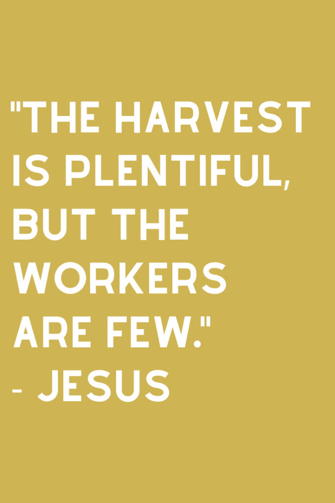 39 Missionary Quotes With Images To Send - Darling Quote