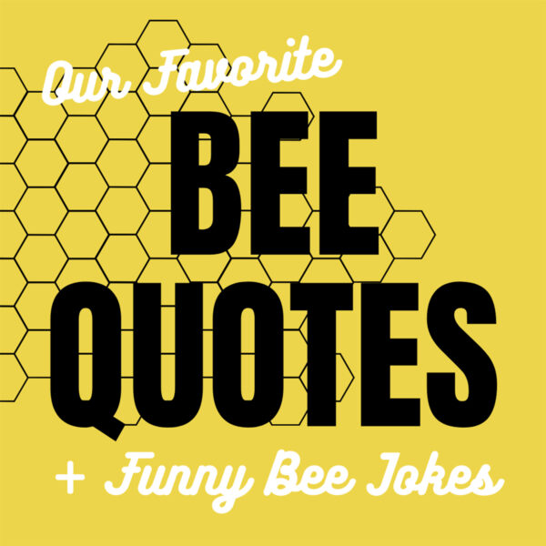 The Sweetest Honey Bee Quotes + Captions Darling Quote