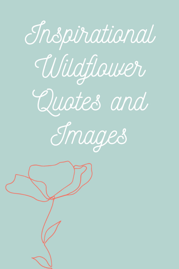 Inspirational Wildflower Quotes & Images Darling Quote