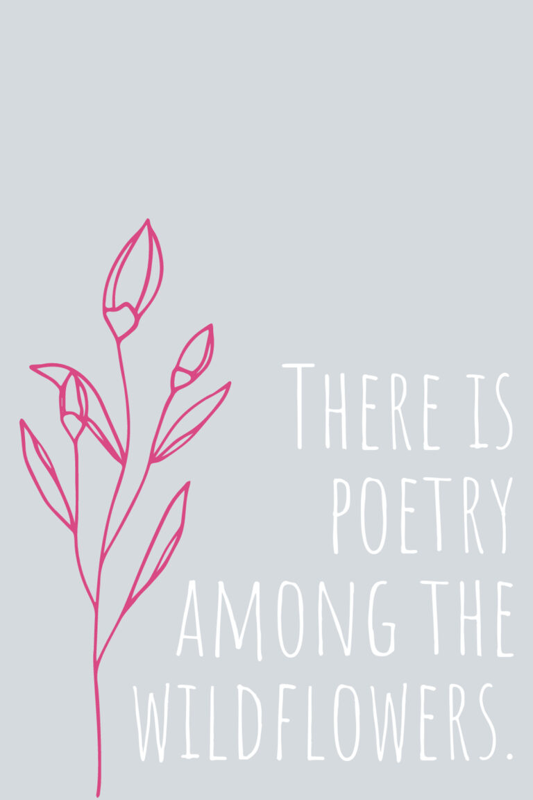 Inspirational Wildflower Quotes & Images Darling Quote