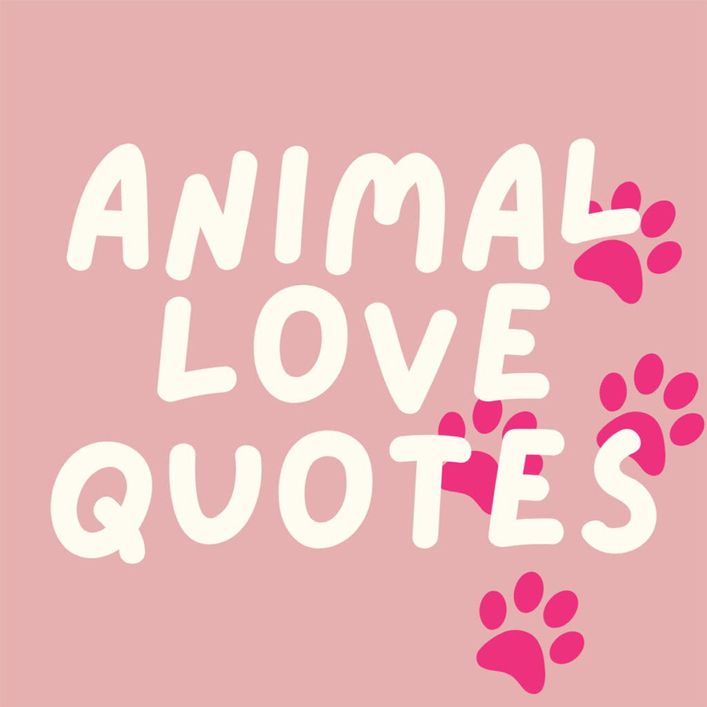 Cute Animal Love Quotes + Images Darling Quote