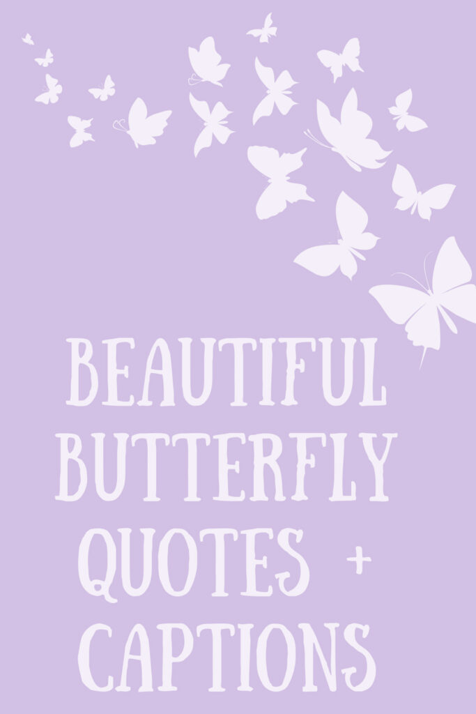Beautiful Butterfly Quotes + Captions Darling Quote