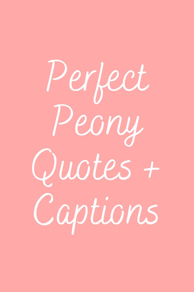 47+ Perfect Peony Quotes & Captions Darling Quote