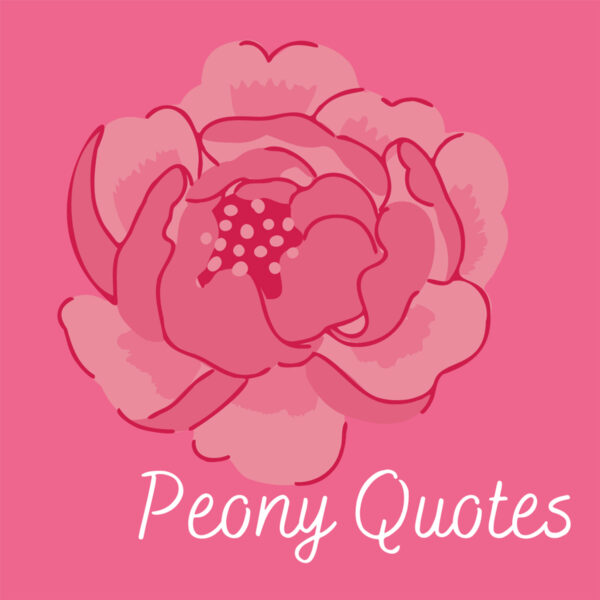 47+ Perfect Peony Quotes & Captions Darling Quote