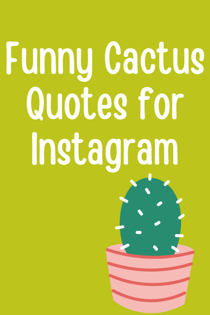 101 Funny Cactus Quotes for Instagram Darling Quote