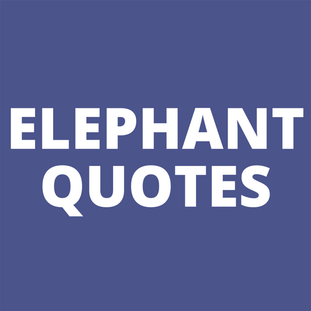 83 Inspiring Elephant Quotes and Positive Sayings Darling Quote