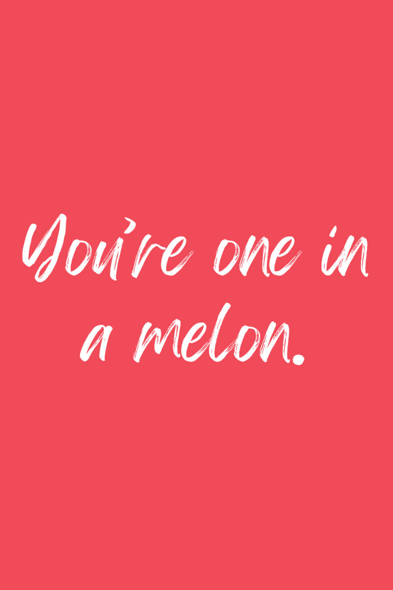 53 Cute Watermelon Quotes and Jokes Darling Quote