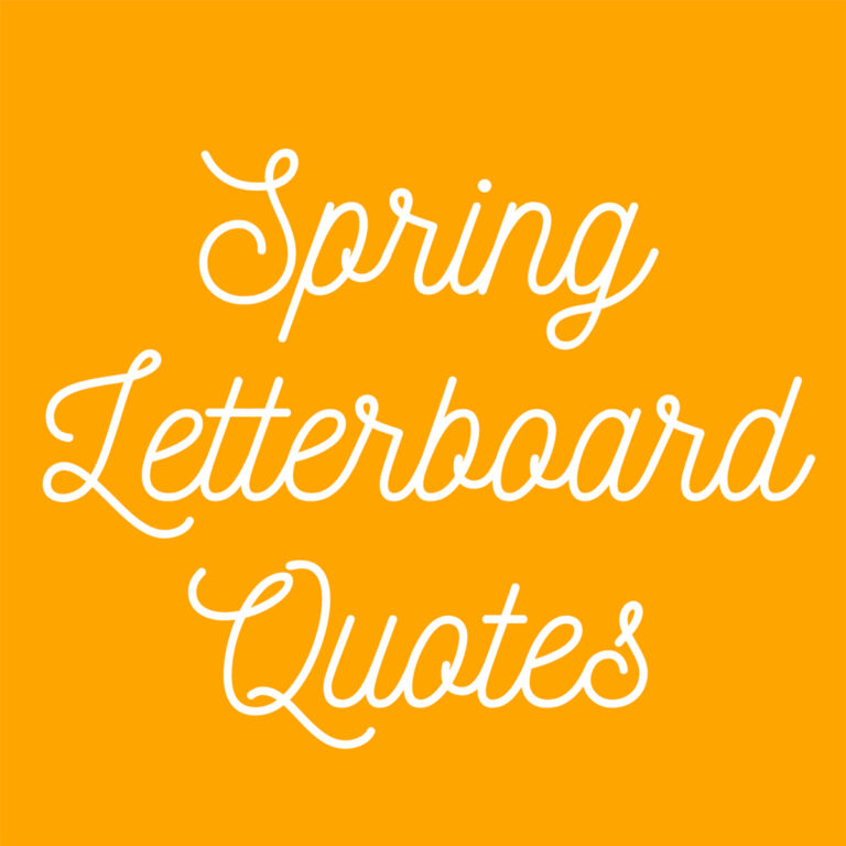 53+ Spring Letterboard Quotes to Make You Laugh Darling Quote