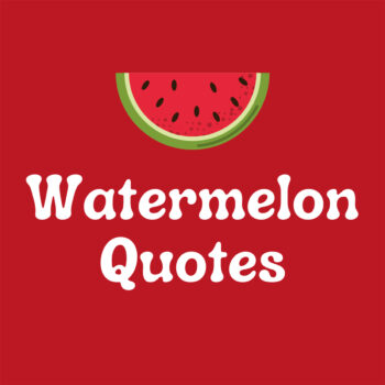 53 Cute Watermelon Quotes and Jokes - Darling Quote