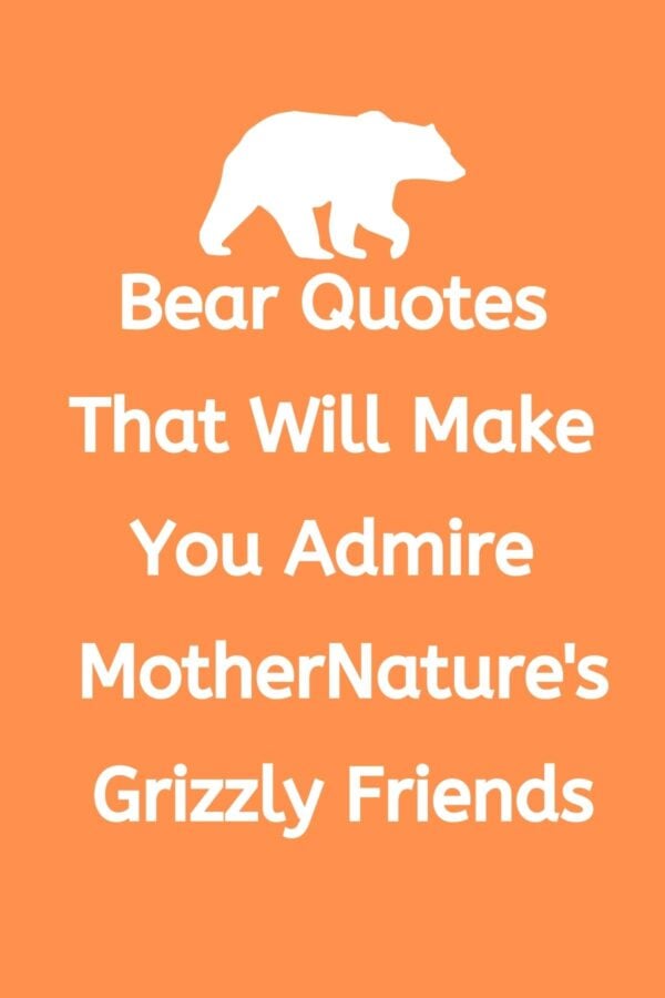 31 Bear Quotes For Adventures With Our Grizzly Friends Darling Quote