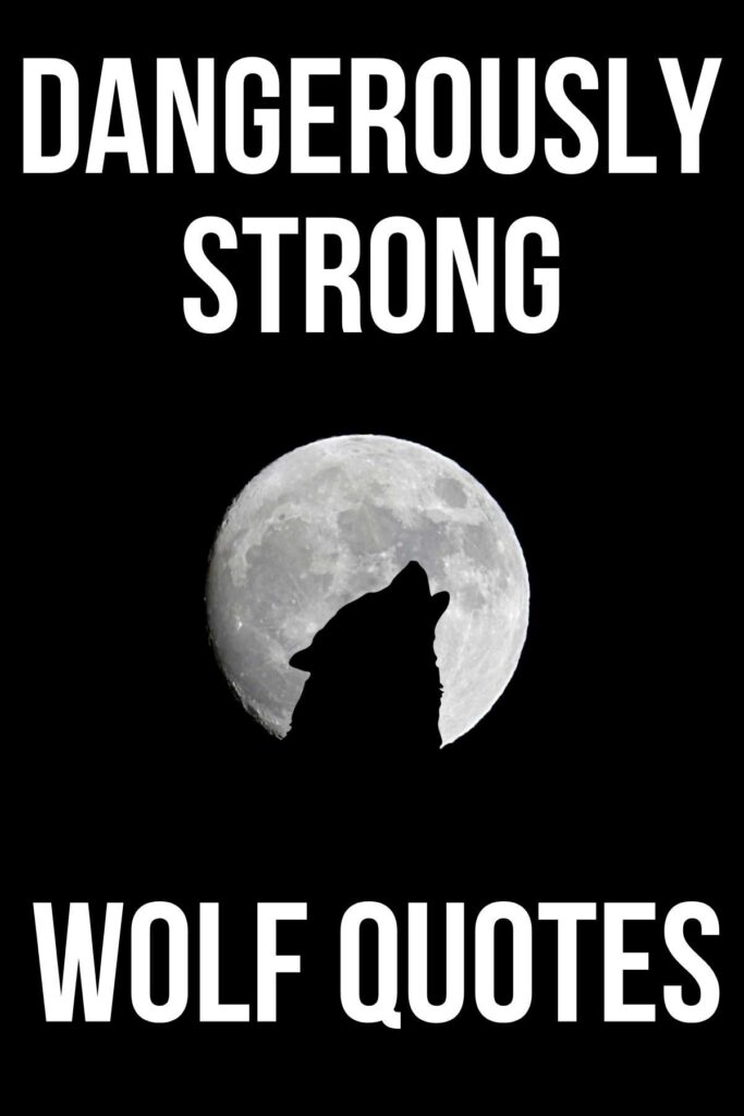 41+ Dangerously Strong Wolf Quotes Darling Quote