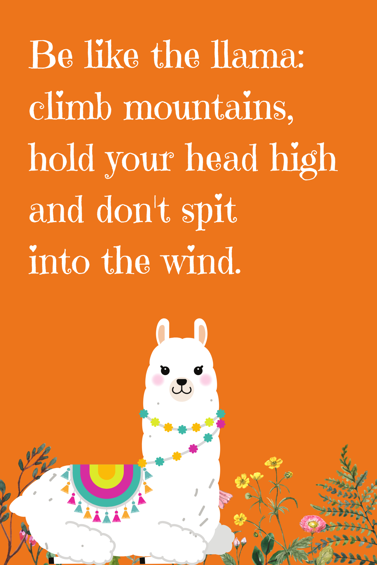 Funny Llama Quotes