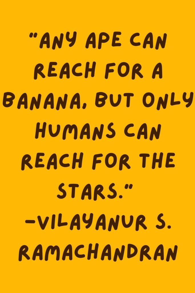 57+ Fun Banana Quotes Darling Quote