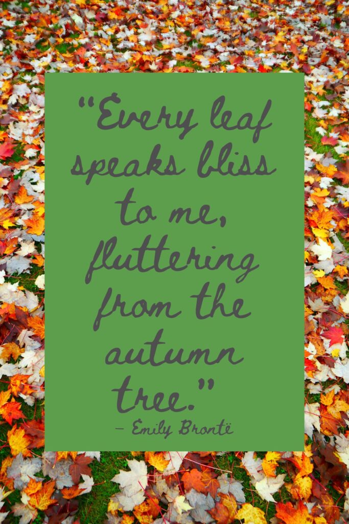 73 Lovely Leaf Quotes For Fall Darling Quote