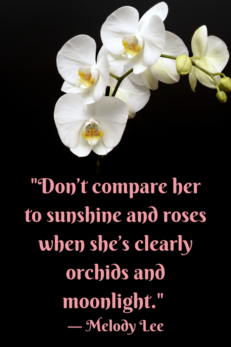 63 Unique Orchid Quotes To Help You Bloom Darling Quote 63-unique-orchid-quotes-to-help-you-bloom-darling-quote