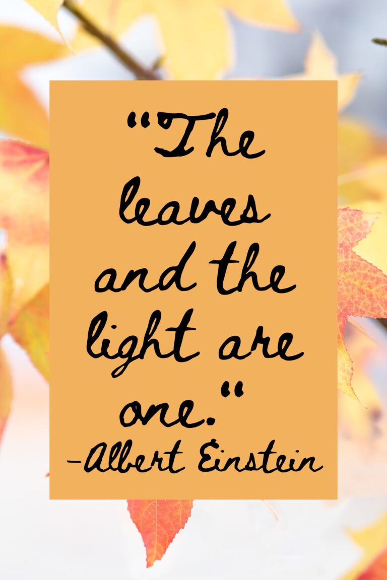 73 Lovely Leaf Quotes For Fall Darling Quote