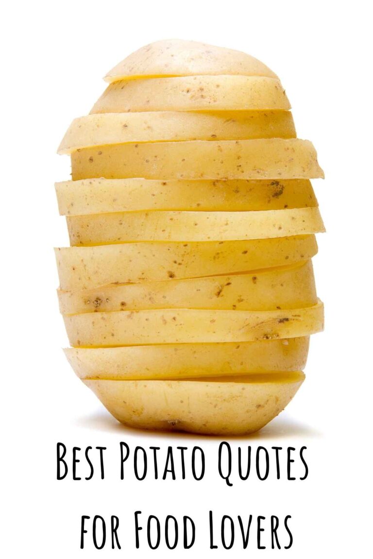 Best Potato Quotes for Food Lovers Darling Quote