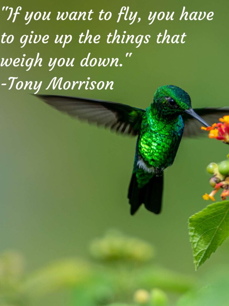 Long Hummingbird Quotes That'll Make Your Heart Flutter Darling Quote