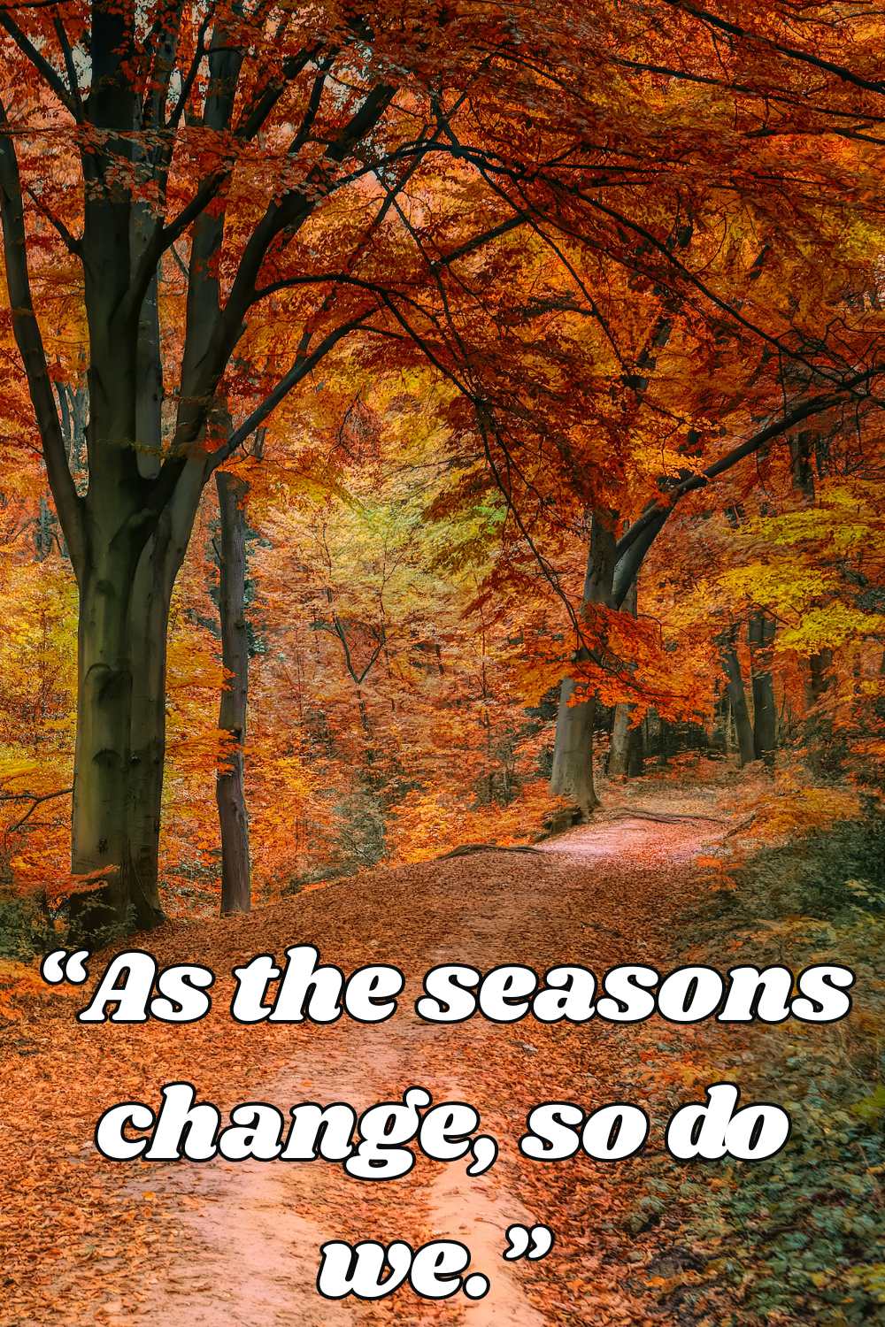 As the seasons change so do we