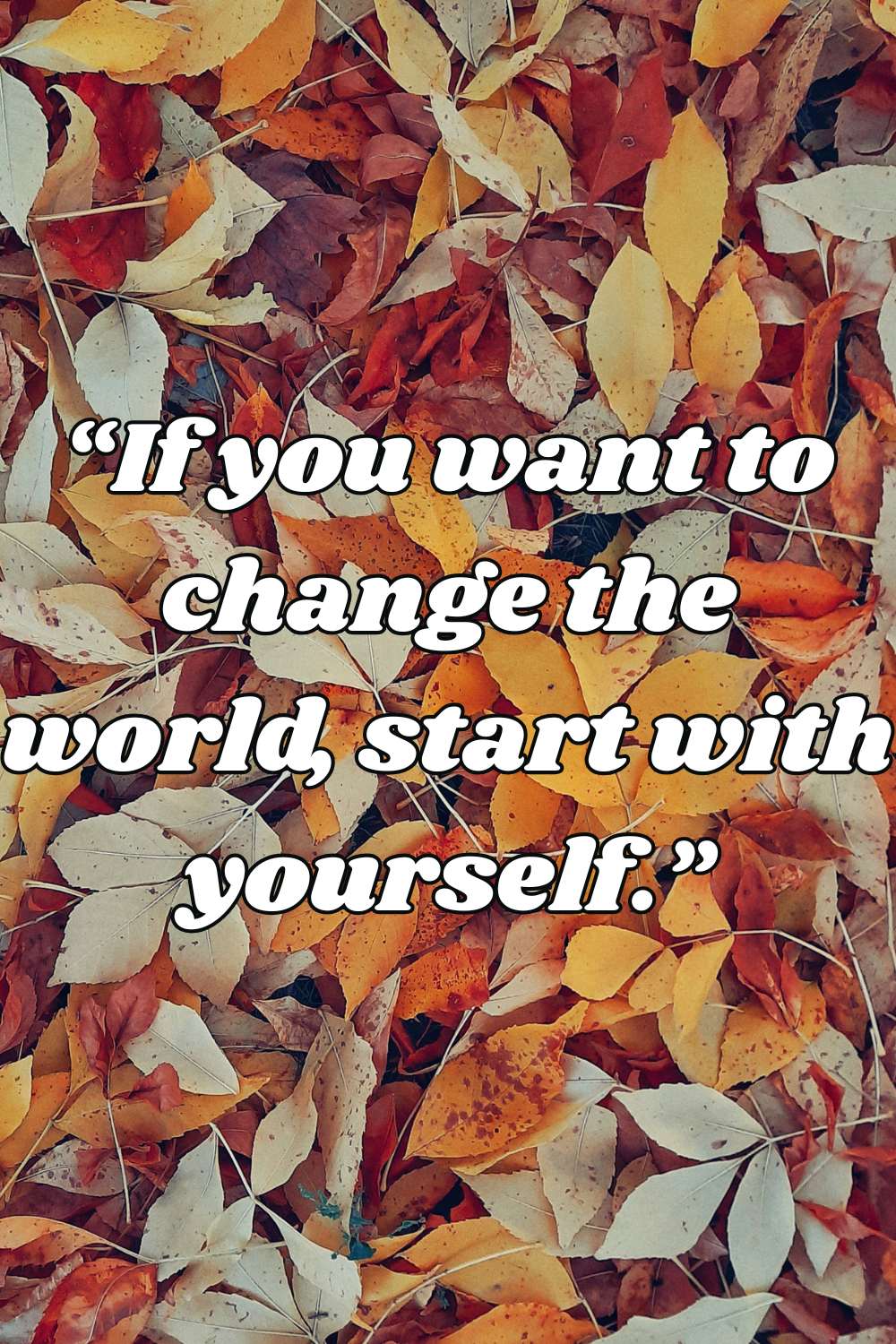 if you want to change the world start with yourself