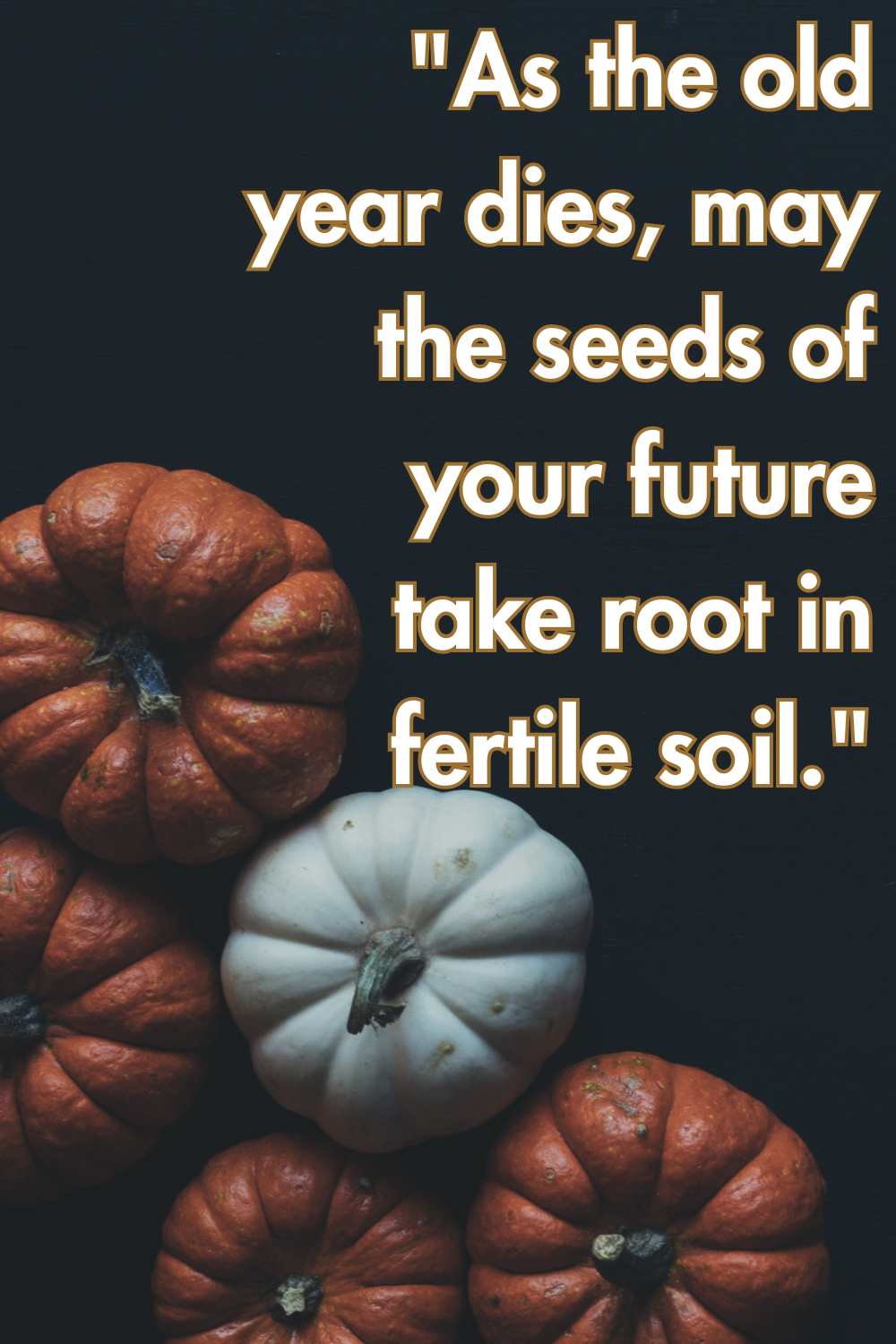 As the old year dies, may the seeds of your future take root in fertile soil.