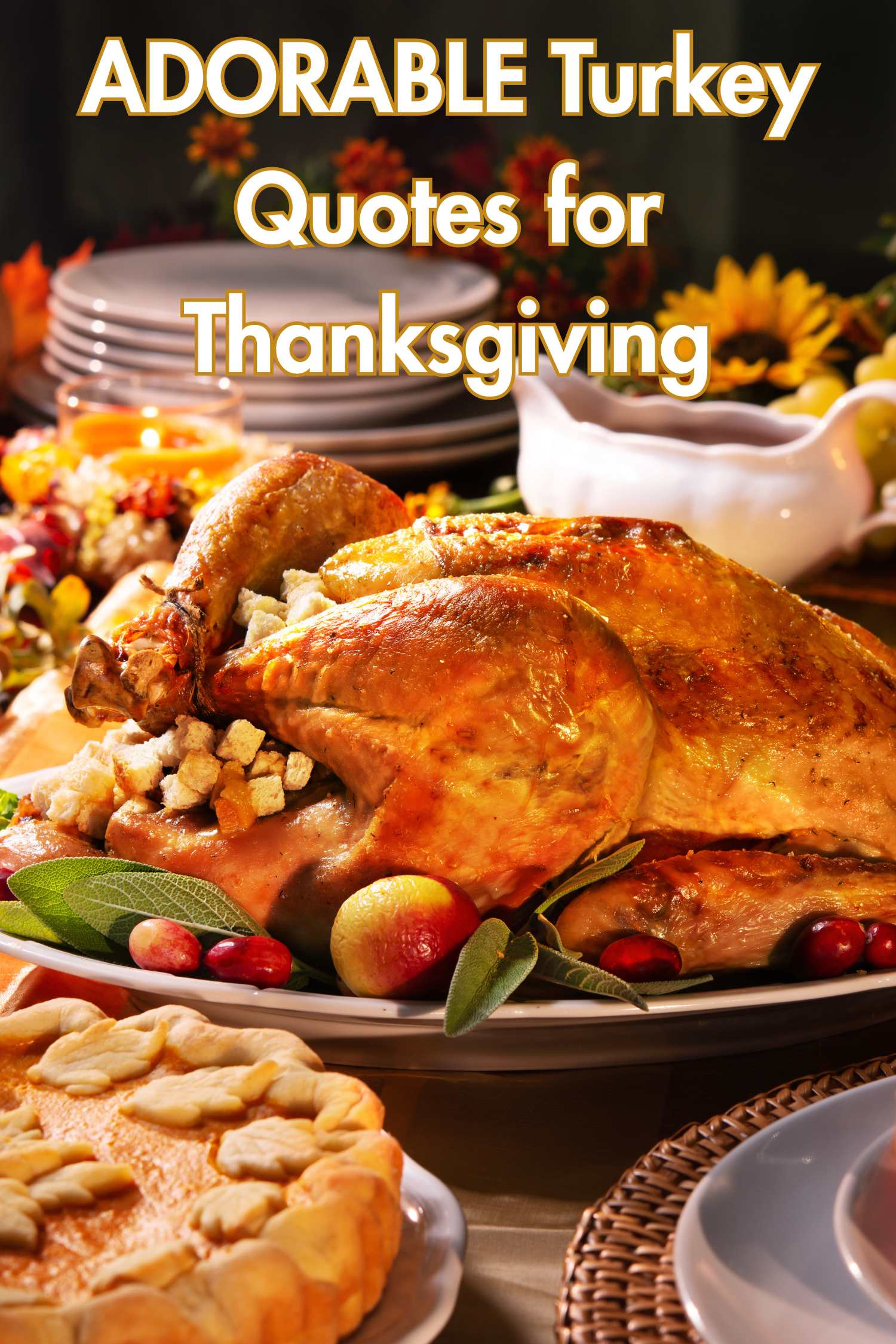 adorable turkey quotes