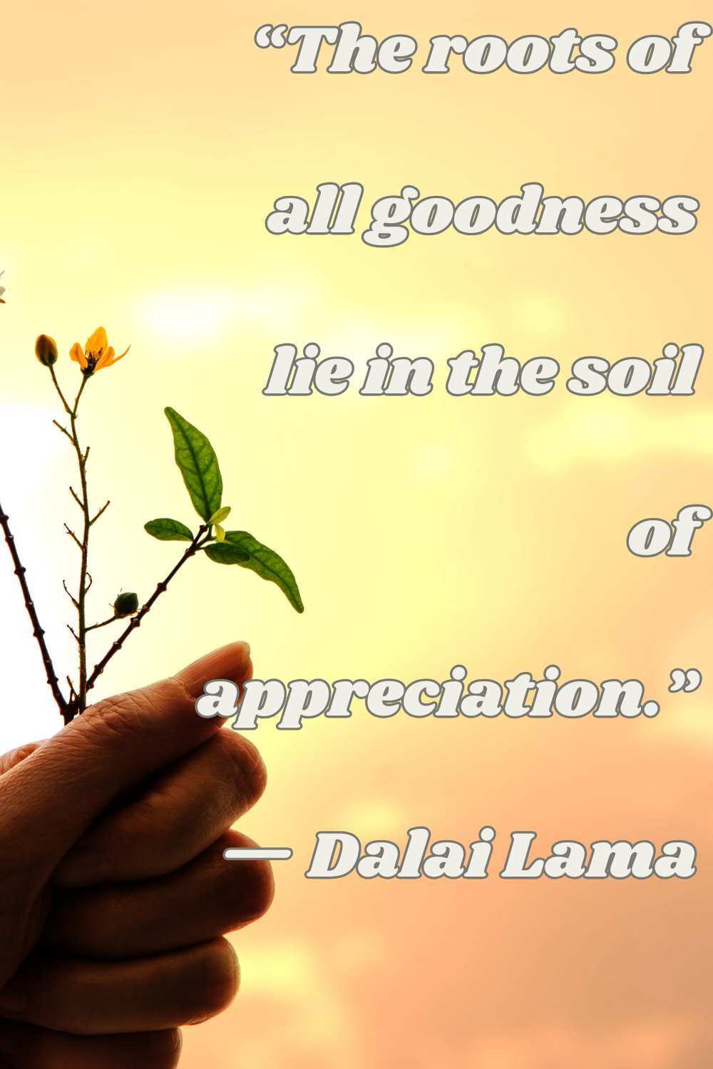 the roots of all goodness lie in the soil of appreciation