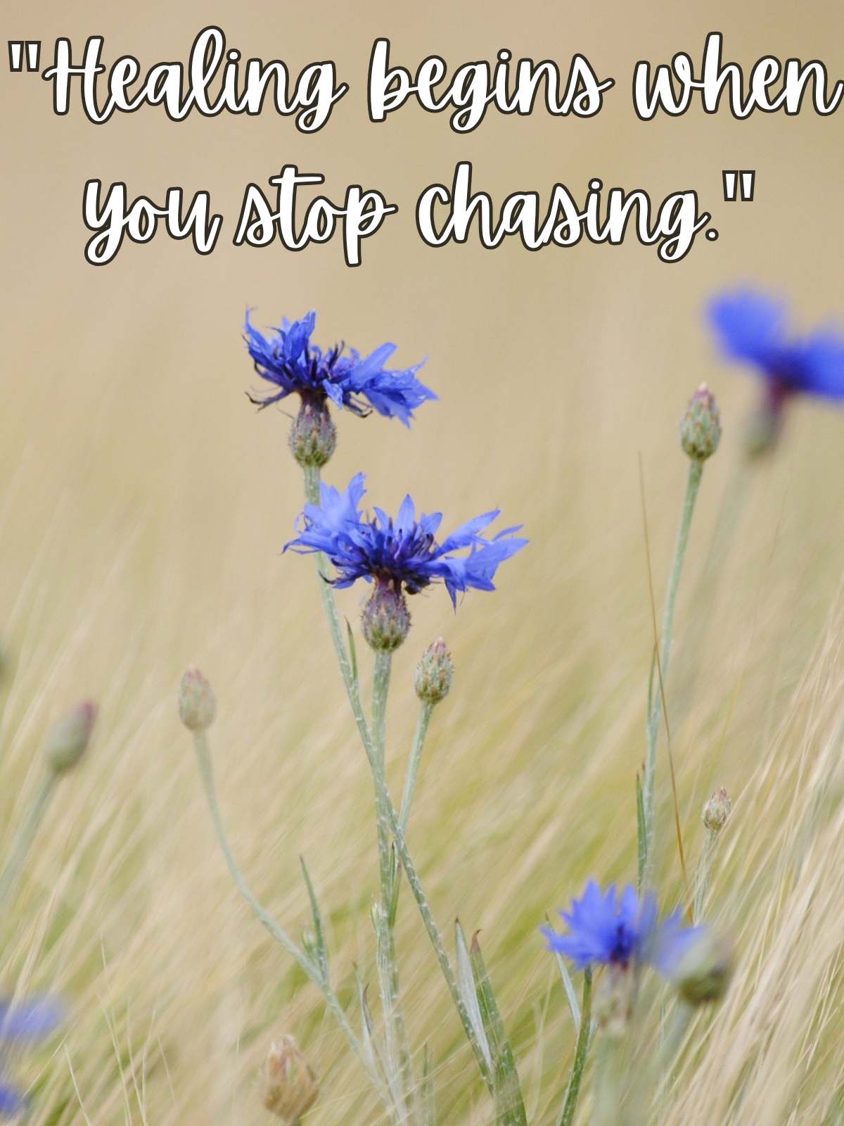 Healing begins when you stop chasing.