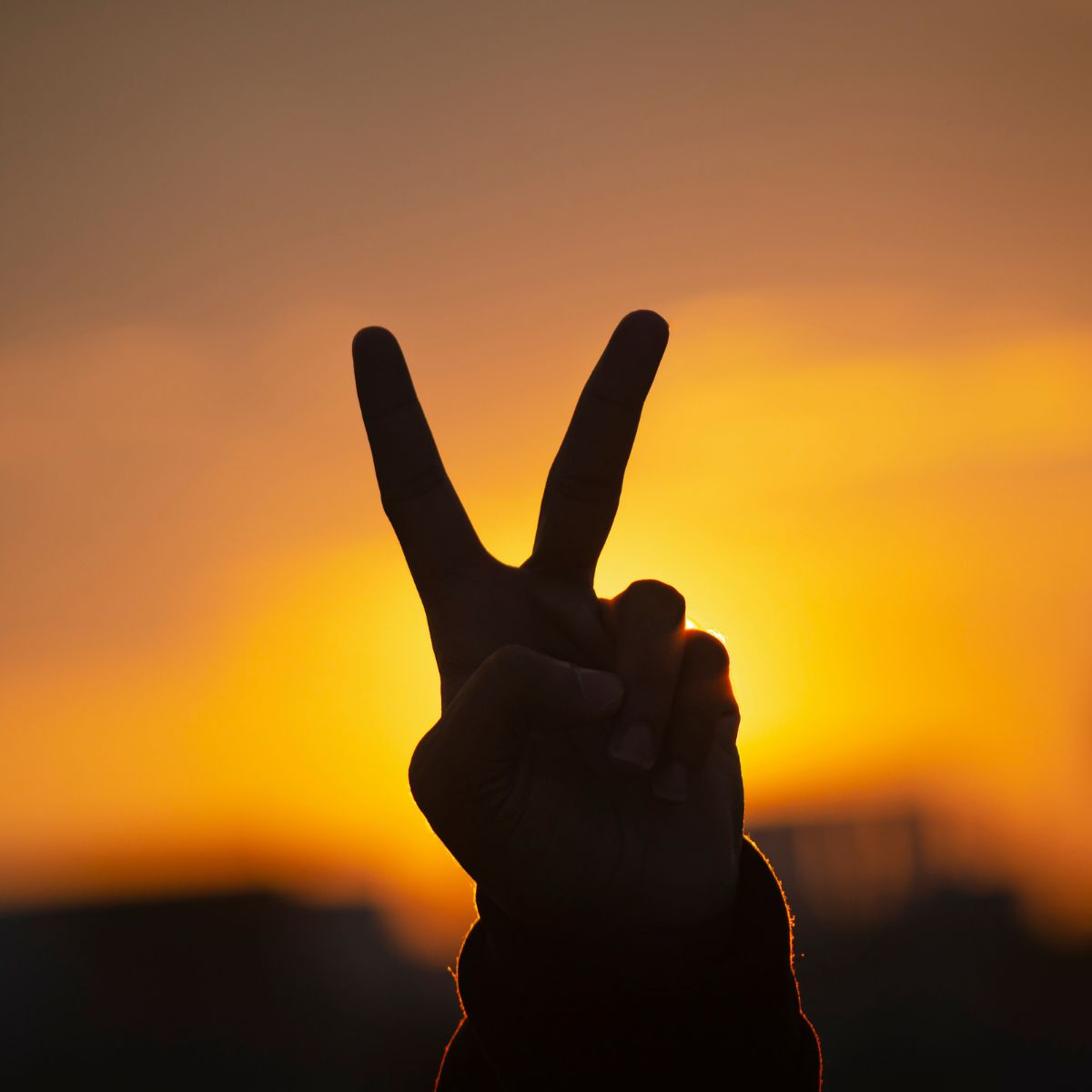 Peace quotes