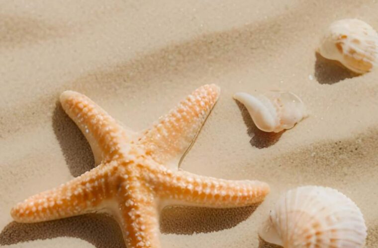 Happy Summer Quotes