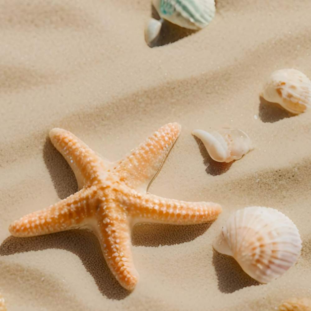 Happy Summer Quotes